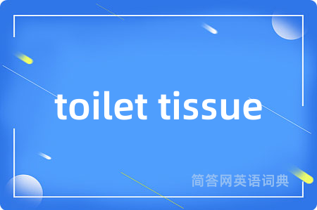 toilet tissue是什么意思,toilet tissue的中文翻译 toilet tissue