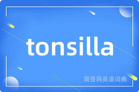 tonsilla