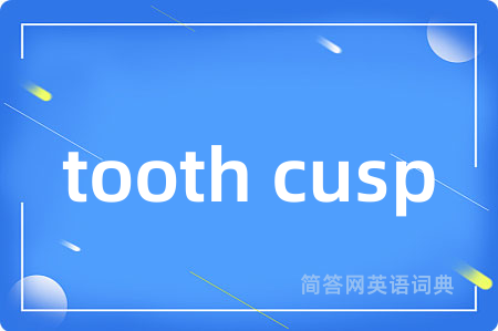 tooth cusp
