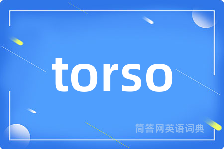 torso