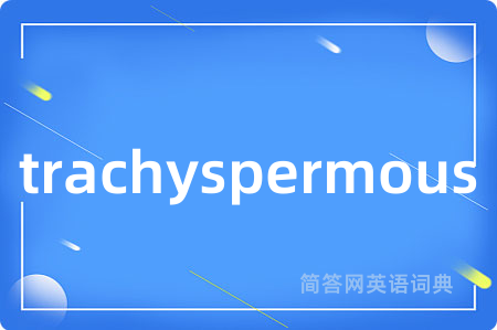 trachyspermous