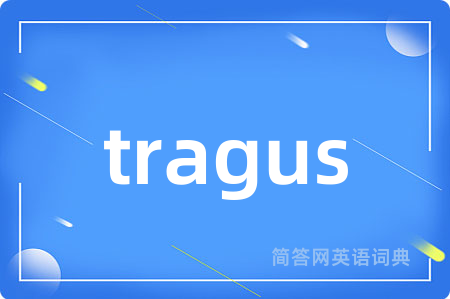 tragus