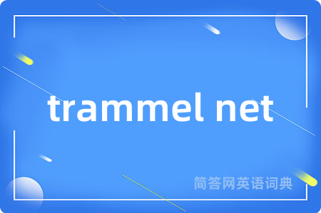 trammel net