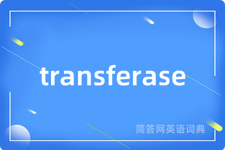transferase是什么意思,transferase的中文翻译 transferase