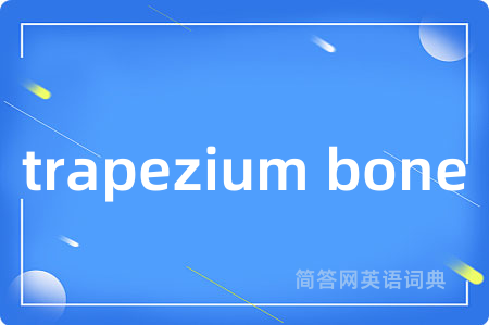 trapezium bone