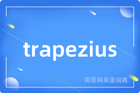 trapezius