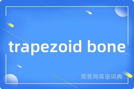 trapezoid bone