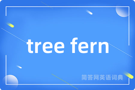 tree fern