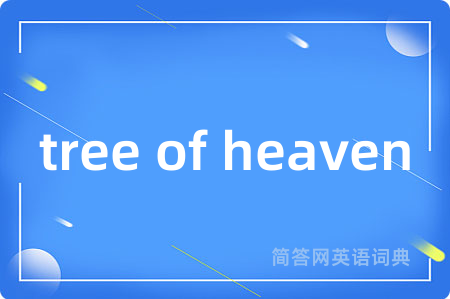 tree of heaven