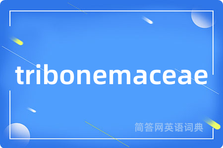tribonemaceae