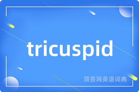 tricuspid是什么意思,tricuspid的中文翻译 tricuspid