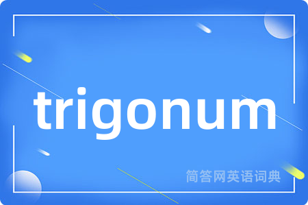 trigonum