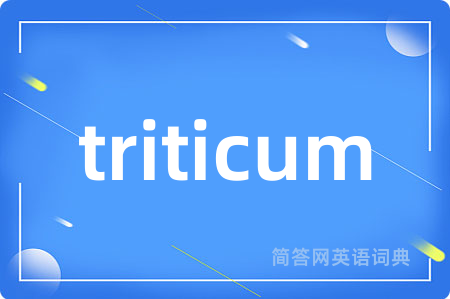 triticum
