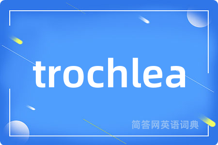 trochlea