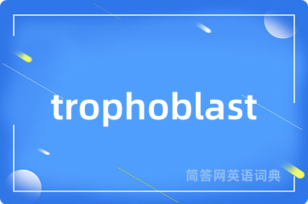 trophoblast是什么意思,trophoblast的中文翻译 trophoblast