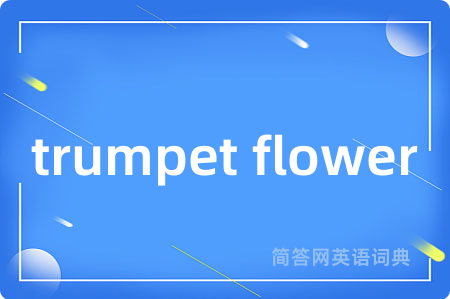 trumpet flower