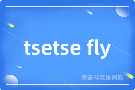 tsetse fly