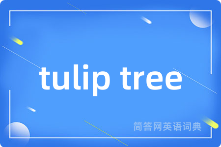 tulip tree