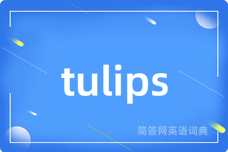 tulips