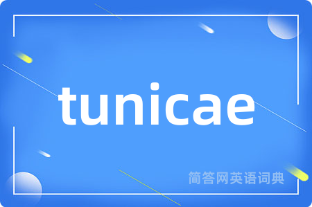 tunicae