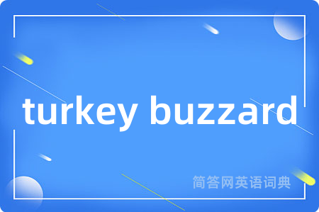 turkey buzzard