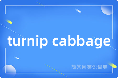turnip cabbage