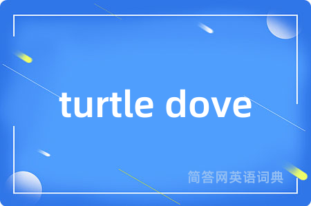turtle dove