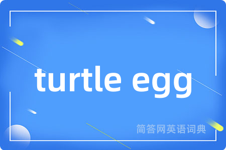 turtle egg
