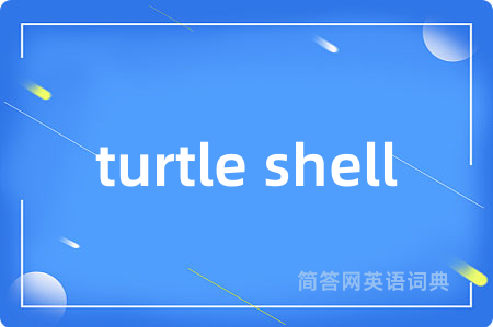 turtle shell
