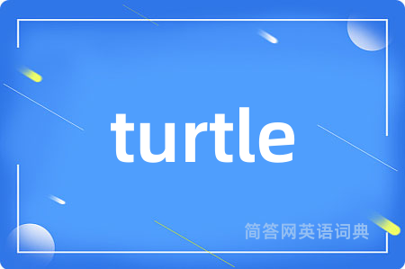 turtle