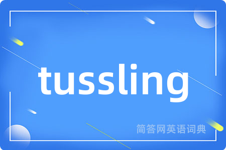 tussling是什么意思,tussling的中文翻译 tussling