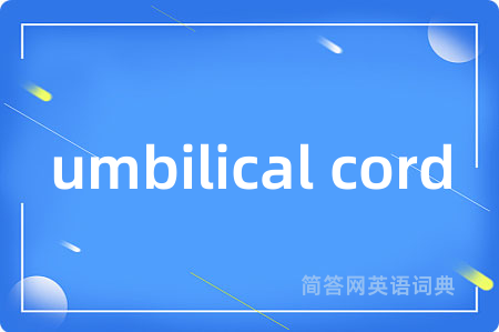 umbilical cord
