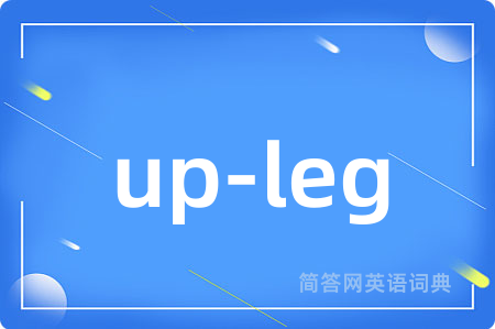 up-leg是什么意思,up-leg的中文翻译 up-leg