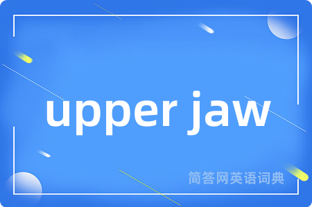upper jaw