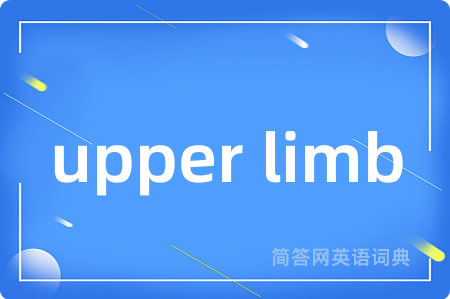upper limb
