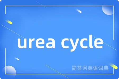 urea cycle