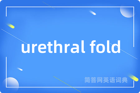 urethral fold