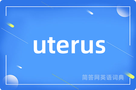 uterus