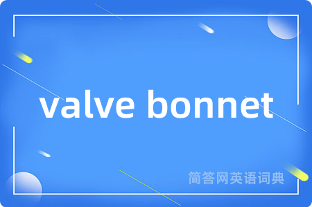 valve bonnet