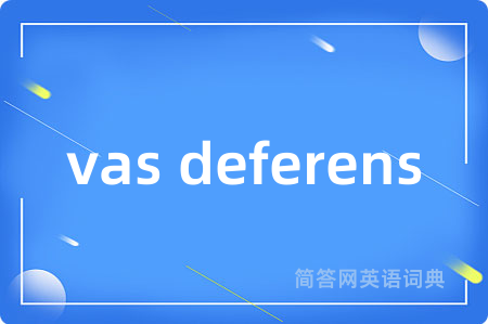 vas deferens是什么意思,vas deferens的中文翻译 vas deferens