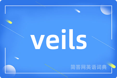veils是什么意思,veils的中文翻译 veils