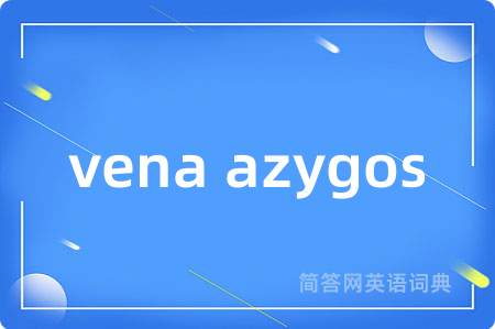vena azygos是什么意思,vena azygos的中文翻译 vena azygos