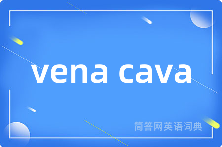 vena cava是什么意思,vena cava的中文翻译 vena cava