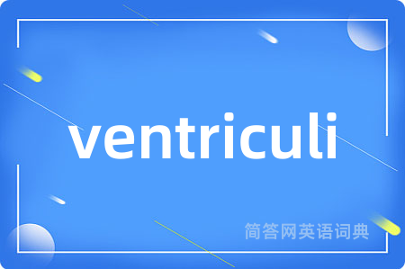 ventriculi