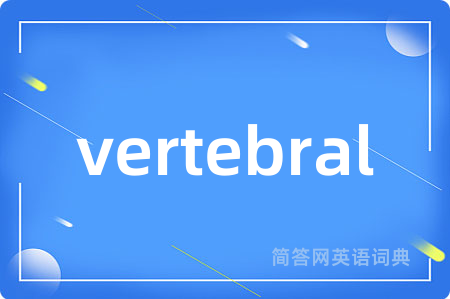 vertebral