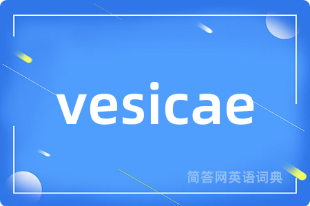 vesicae