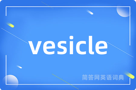vesicle是什么意思,vesicle的中文翻译 vesicle