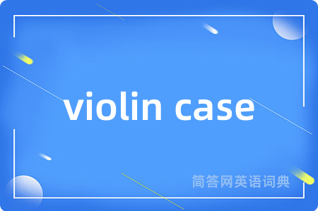 violin case