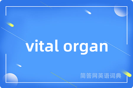 vital organ