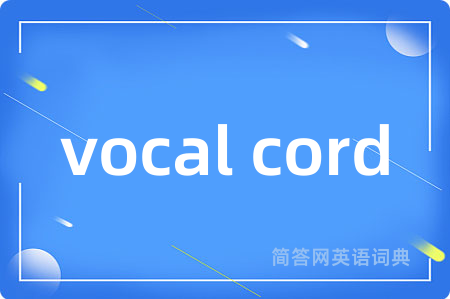 vocal cord是什么意思,vocal cord的中文翻译 vocal cord